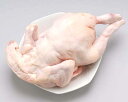 丸鶏（1．2kg）　1羽
