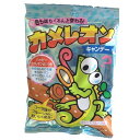 キッコー製菓株式会社カメレオンキャンデー(70g)×60個セット【北海道・沖縄は別途送料必要】