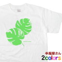 南国のグリーン「モンステラ special holiday」Tシャツ(半袖) リゾートTシャツ 父の日・母の日ギフト 半袖プリントTシャツ【メール便OK】【レビューを書いてメール便送料無料】HH02