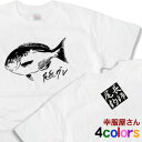 【P最大7倍】グレ釣りファン御用達?!「尾長グレ」Tシャツ(半袖Tシャツ) 自分用にもプレゼント用にも喜ばれる一品。 オナガグレ(クロメジナ)当店オリジナルプリントTシャツ【メール便OK】 RF10