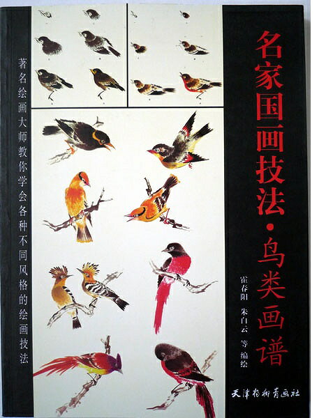 中国美術書　鳥画集