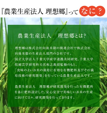 29年産 千葉県産　生産法人 理想郷 ミルキークイーン 白米 5kg