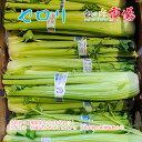 業務用 セロリ メキシコ産 5束 炒め 新鮮 野菜
