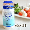 バルーンソルト〜60g入り12本セット【塩/減塩塩/ライトソルト/カリウム不使用/マグネシウム不使用/減塩/健康/卓上塩/調味料/通販/楽天/ひびき屋/ヒビキスパイス/ポイント消化】