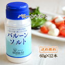 バルーンソルト 〜 60g x 12本 セット ヒビキスパイス 【塩 減塩調味料 減塩塩 カリウム不使用 マグネシウム不使用 減塩食品 塩分濃度 塩分制限 高血圧 食事療法 腎臓病食 透析 糖尿 食事制限 健康 卓上塩 みそ汁 風船 パウダー レシピ ポイント消化】