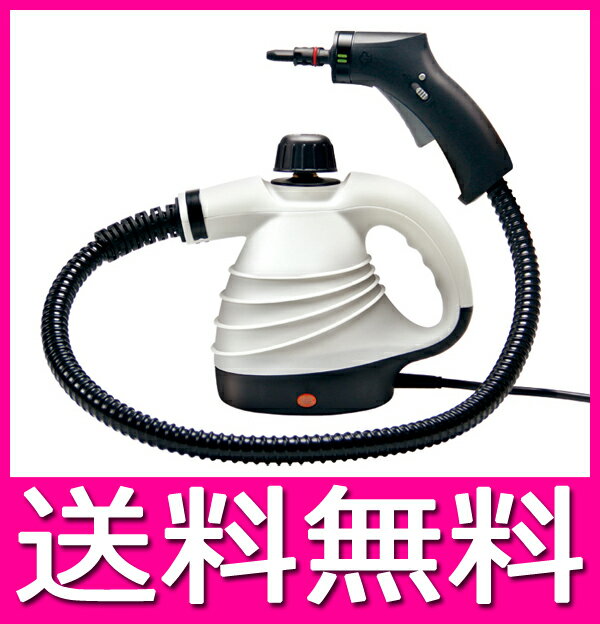 スチームクリーナー ロング 高圧洗浄器 高圧洗浄機