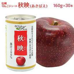 りんごジュース ストレート 100% 長野興農 信州りんごジュース 秋映 160g × 30缶