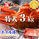 値上がり前に…お歳暮＆年末早割2,000円OFF！希少な特大サイズを厳選！ボイルずわい蟹/姿（750g前後×4尾入り）[送料無料]※12/1より11,880円となります。【カニ】【かに】【蟹】