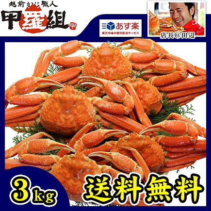 【徳用】ボイルずわい蟹/姿3kg(4匹もしくは5匹入り※指定不可)[送料無料](4-8人前)