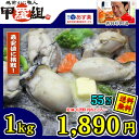 ジャンボ広島かき1kg(正味重量850g)[送料無料](5-6人前)冷凍保存1ヶ月可能なので「複数まとめ買い」がお勧めです♪