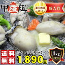 ジャンボ広島かき1kg(正味重量850g)[送料無料](5-6人前)【広島】【かき】【カキ】【牡蠣】