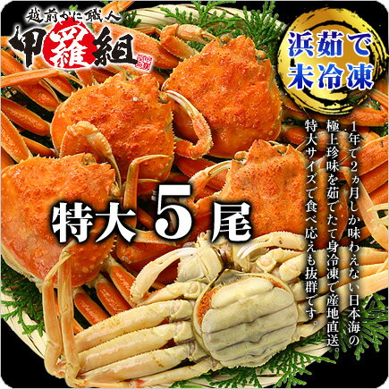 11/28日AM9時59分で終了!希少な特大サイズ!越前・松葉せいこ蟹(特大×5尾入り)※11月6日の解禁日以降、ご注文順に出荷します(せこがに 香箱ガニ セイコガニ カニ かに ズワイガニ 松葉ガニ せこ蟹 セコガニ こっぺがに コッペガニ) 11/28日AM9時59分で終了!希少な特大サイズ!越前・松葉せいこ蟹(特大×5尾入り)※11月6日の解禁日以降、ご注文順に出荷します(せこがに 香箱ガニ セイコガニ カニ かに ズワイガニ 松葉ガニ せこ蟹 セコガニ こっぺがに コッペガニ)
