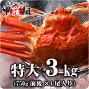 【業務用/産地箱】特大ボイルずわいがに姿3kg(7