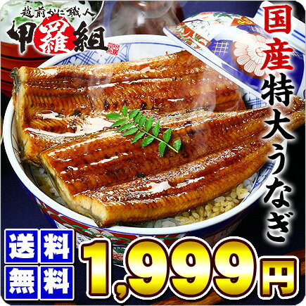 国産うなぎの価格破壊！特大サイズ蒲焼き1本〜送料無料1,999円！2本以上で化粧箱でお届け♪5本で1,000円OFFクーポンあり！【鹿児島県産】特大うなぎ蒲焼き×1尾【鰻】【ウナギ】【うなぎ】