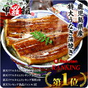 国産うなぎの価格破壊！特大サイズ蒲焼き1尾〜送料無料2,499円！更に2尾で600円OFFクーポン＆化粧箱でお届け♪【鹿児島県産】特大うなぎ蒲焼き×1尾【鰻】【ウナギ】【うなぎ】