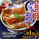 国産うなぎの価格破壊!特大サイズ1尾〜送料無料2,499円!...