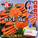 \早割1,000円OFF!/希少な特大サイズを厳選!ボイルず...
