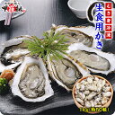 【生食OK】瀬戸内海のプレミアム生カキむき身IQF急速冷凍1kg(解凍後850g)使い易い中