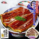 圧巻の大ボリューム!【鹿児島県産】うなぎ蒲焼き大サイズ約16...