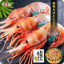 父の日 ギフト プレゼント 店長大暴走で<43%OFF>セール!衝撃の送料無料3,980円!更に2個で500円OFFクーポンあり!希少な超特大3Lサイズ限定!子持ちぼたんえび1kg(16-20尾入り)【牡丹海老】【ぼたんえび】【牡丹えび】【ボタンエビ】【刺身】