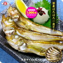 送料無料1,000円ぽっきりお試しセール!更に2個で500円OFFクーポンあり!日本海のハタハタ一夜干し中型サイズ×6尾入り