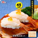 45%OFFセールで送料無料1,247円!更に2個で400円OFF!3個で900円OFF!4個で1,600円OFF!5個で2,000円OFFクーポンあり!回転寿司や居酒屋に納品している天然赤エビ寿司用開きたっぷり20枚入り