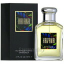 アラミス ARAMIS ハバナ 100ml EDT SP fs ≪在庫処分のため大特価!≫ 【あす楽:エリア限 営業日 正午迄】【香水・メンズ】【RCP】