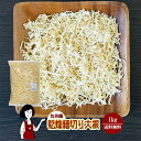 乾燥細切り大根 1kg/九州産 乾燥野菜 大根 宅配便 送料無料 チャック付 九州産 ミックス 国産 ボイル済み ドライベジ アウトドア キャンプ 保存食 時間短縮 スープ こわけや