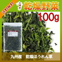 乾燥ほうれん草 100g〔チャック付〕/九州産 乾燥野菜 ホウレン草