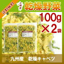 乾燥キャベツ100g×2〔チャック付〕/九州産 乾燥野菜 きゃべつ