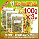 乾燥野菜ミックス 100g×3〔チャック付〕/九州産 乾燥野菜 きゃべつ 大根葉 大根 人参