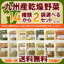 九州産乾燥野菜14種類から2袋選べるセット/オマケ付
