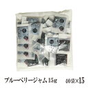 ブルーベリージャム 15g×600袋 宅配便 送料無料 ジャム コンフィチュール 九州 学校給食 給食用ジャム 小袋 パン スイーツ 使い切り ブルーベリー 小分け こわけや