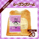 デキシー レーズンクリーム 10g×20袋 メール便 送料無料 ジャム 小袋 パン スイーツ 使い切り 小分け こわけや
