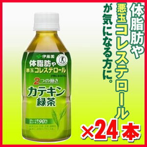 2つの働きカテキン緑茶 350ml×24本（特定保健用食品）「体脂肪が気になる方」「コレス…...:koyama-p:10003090