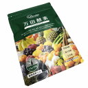 万田酵素 STANDARD 分包タイプ 2.5g×31包