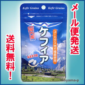 ★ゆうメール発送・1個から送料無料★ケフィア 65球 コーカサス地方種菌使用【お買い物マラソン1215ポッキリ】