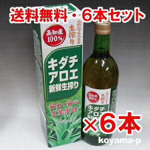 国産 高知県産100％キダチアロエ新鮮生搾り720ml×6本無農薬栽培の新鮮なキダチアロエを使用