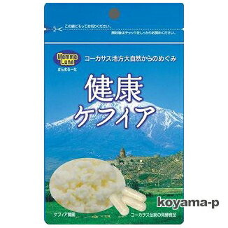 健康ケフィア 62球 コーカサス地方の恵み「健康ケフィア」に含まれている乳酸菌と酵母は生きています