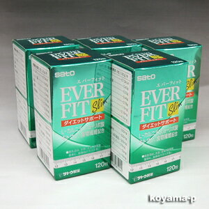 ★送料無料・5個セット★サトウ製薬 エバーフィット スリム 120粒×5個(everfit slim)注目成分,L-カルニチン,α-リポ酸,キトサン配合