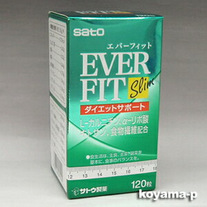 サトウ製薬 エバーフィット スリム 120粒(everfit slim)注目成分,L-カルニチン,α-リポ酸,キトサン配合5250円以上お買上で送料無料