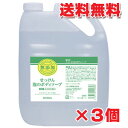 ★送料無料・3個セット★業務用 ミヨシ石鹸 無添加せっけん 泡のボディソープ 5L×3個