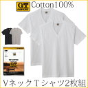【楽天スーパーSALE★〜6/27(火)AM09:59迄】GTホーキンス 綿100%Vネック半袖Tシャツ2枚組!グンゼ【メール便可】