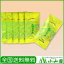 お茶 日本茶 | 【期間限定!全国送料無料!】秋摘