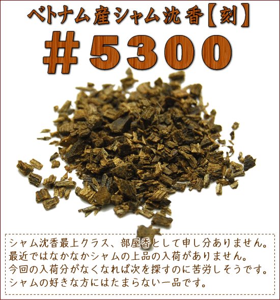 ڹڡۡ1gǾʡ5300