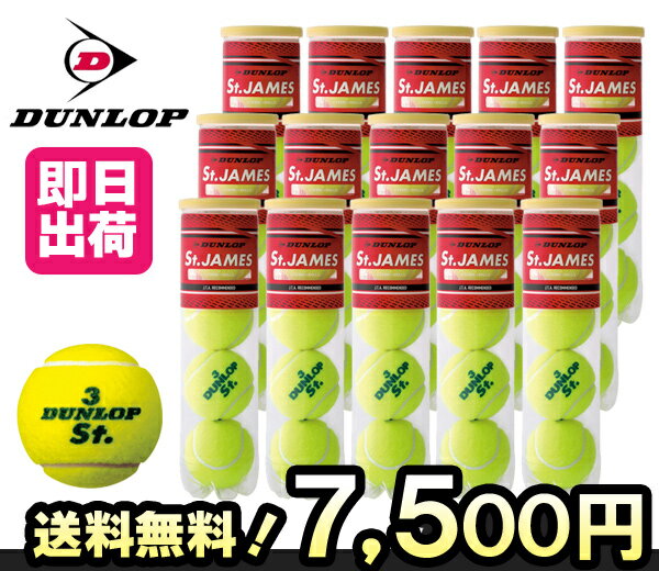 DUNLOP(ダンロップ)テニスボール/テニスボール