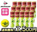 『即日出荷』【レビューを書くと1箱毎にグリップテープ10本プレゼント】DUNLOP(ダンロップ)St.JAMES(セントジェームス)1箱（15缶/60球)テニスボールku