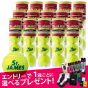 『即日出荷』 「エントリー＋レビューで選べるプレゼント」「新パッケージ」DUNLOP(ダンロップ)「St.JAMES(セントジェームス)（15缶/60球)」テニスボール「あす楽対応」