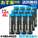 「あす楽対応」HEAD(ヘッド)「HEAD PRO(ヘッドプロ)4球入り1箱(12缶/48球) 571614」テニスボール『即日出荷』