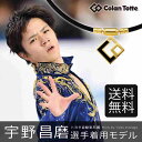 「あす楽対応」コラントッテ Colantotte 健康・ボディケアアクセサリー TAO ネックレス AURA プレミアムゴールド ABAPH52『即日出荷』TAO-AURA 磁気ネックレス「ラッピング対象」